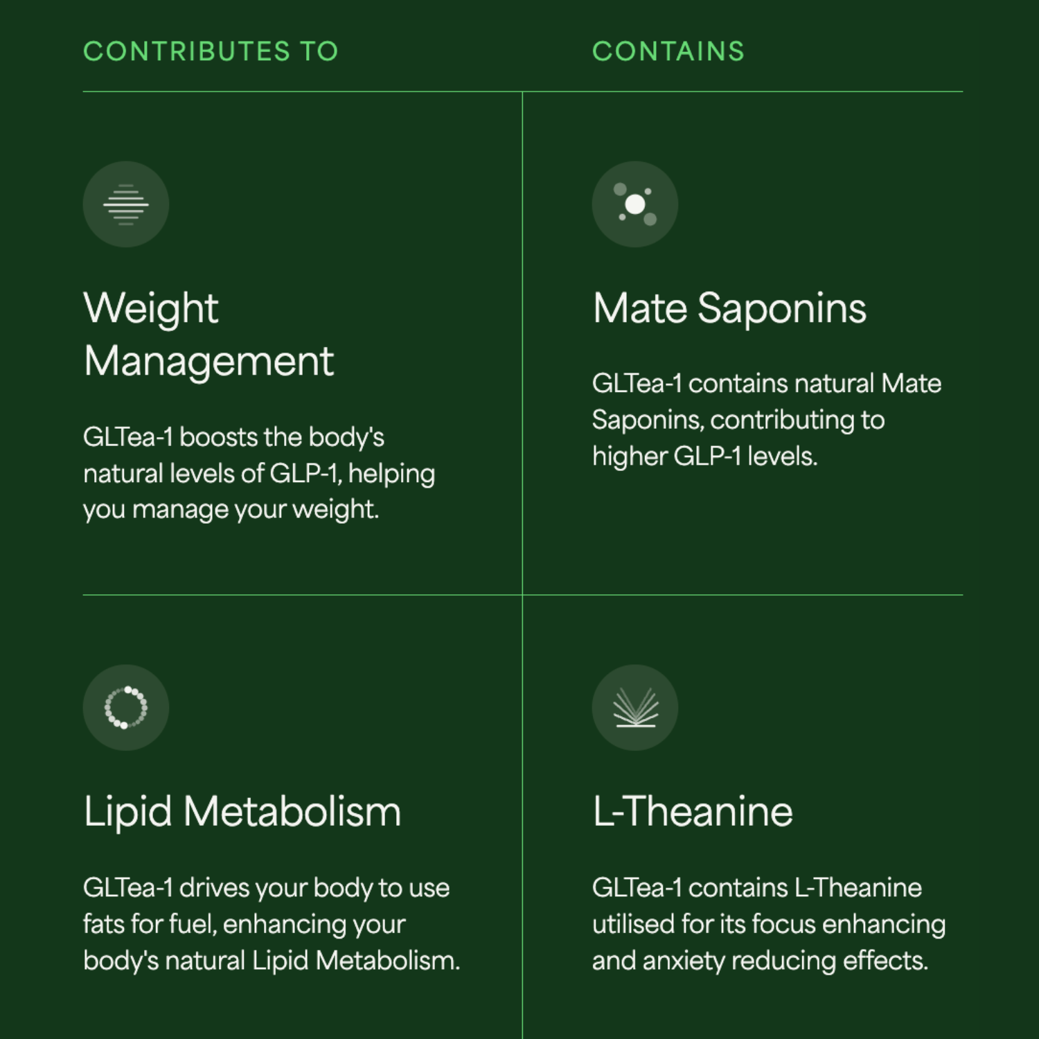 Appetite Suppression Shot | Concentrated Yerba Mate